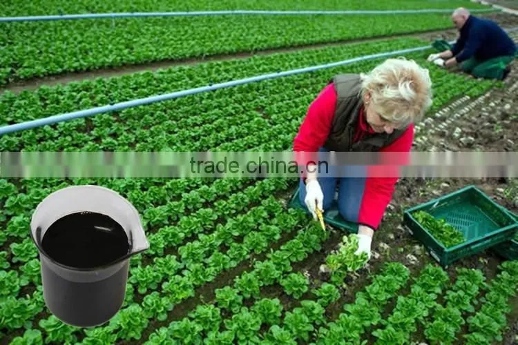 Fashion agricultural liquid rooting fertilizer for vegetable