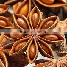 Star Anise From Lang Son Vietnam