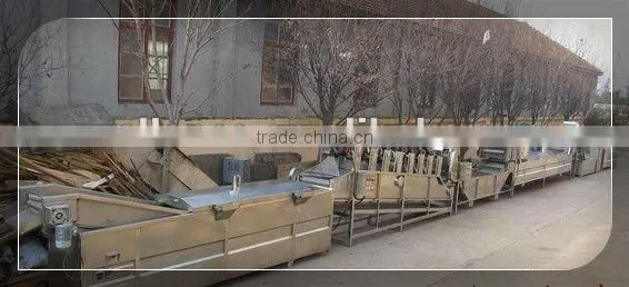 ALPC-W stainless steel potato french fries making machine