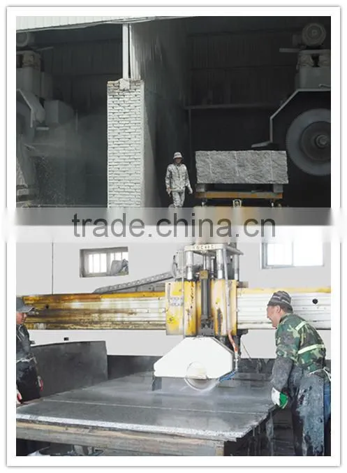 Hot sale! Chinese cheapest granite stone G383