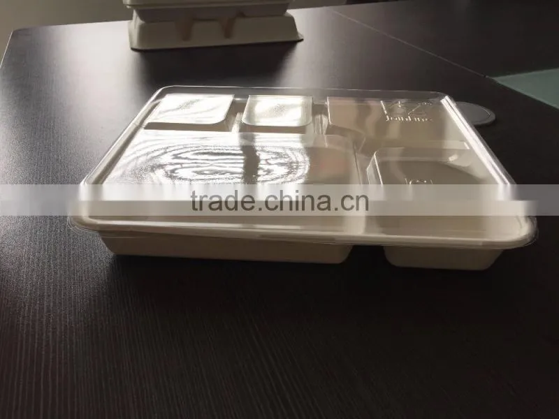 Sugarcane bagasse 5-compartment food container with PET lids