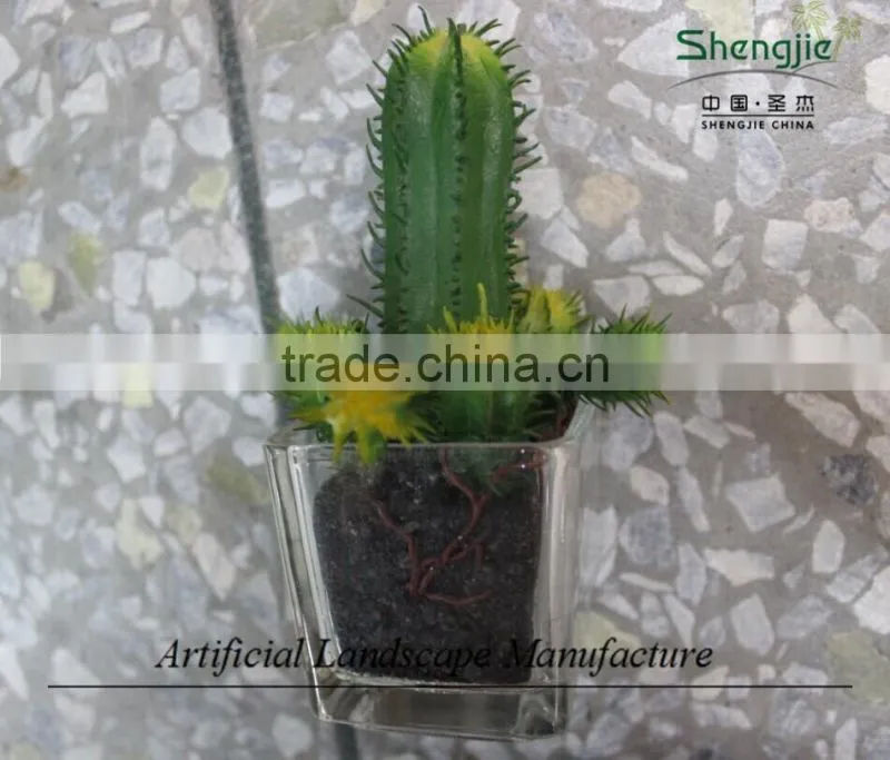 mini succulent plants potted plants for decoration