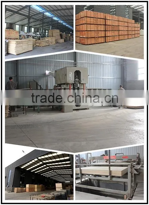 Australian Standard Formwork Plywood F17 for Australia