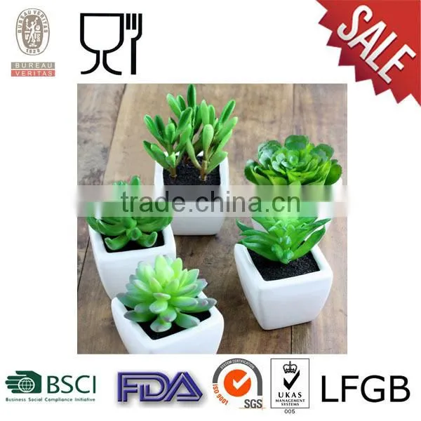 Plastic Square Flower Pot with white color