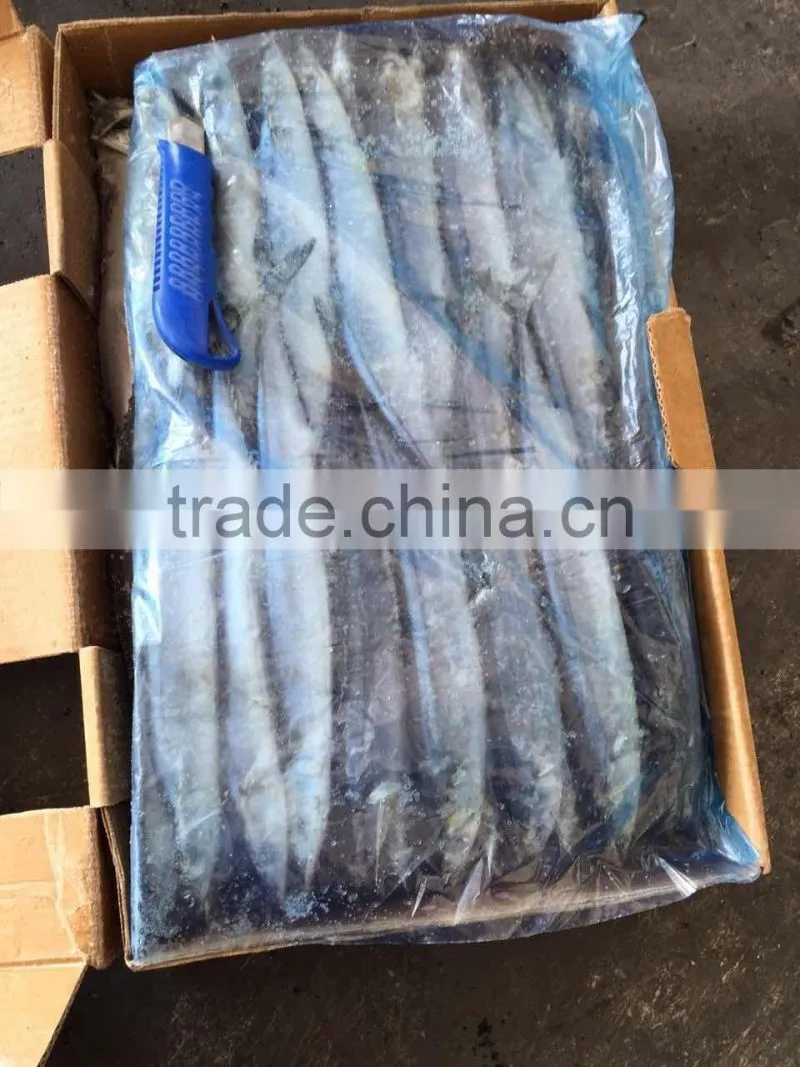 Seafood Frozen Fish Pacific Saury