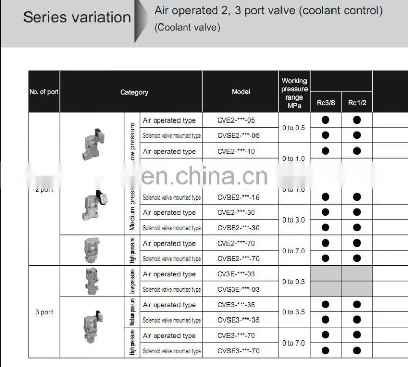 High Pressure CKD Low Pressure Valve Solenoid Valve Special Price for CVSE2-10A-30-02HS-3