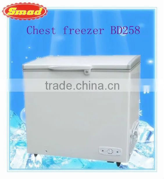 ice cream solid door chiller 200L