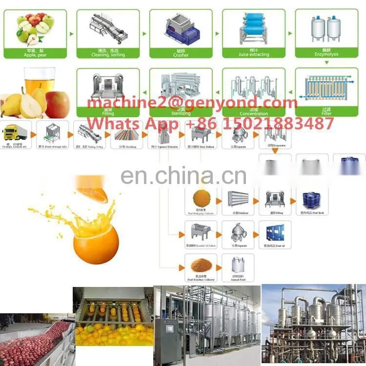 Factory cheap price cost of juice manufacturing plant best
