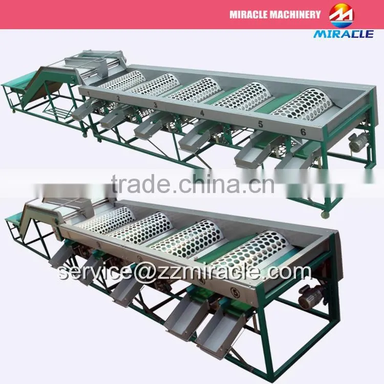 Cherry tomato Sorting machine/Tomato grading machine/Potato sorter machines