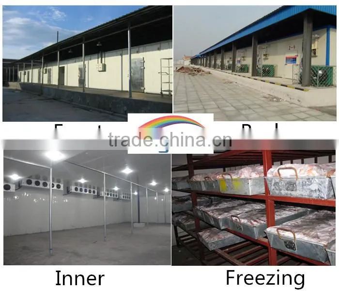 cold storage panels/insulated panels for cold storage/panels for cold storage prices
