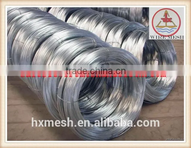 electro galvanized iron wire/galvanized wire