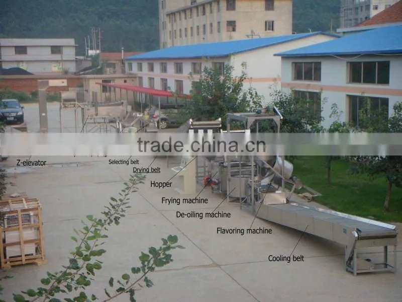 High quality roasted and salted peanut production line with CE