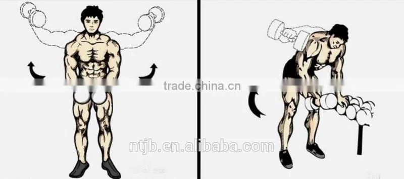 high quality gym exercises crossfit PU dumbbell with Chinese manufacturers