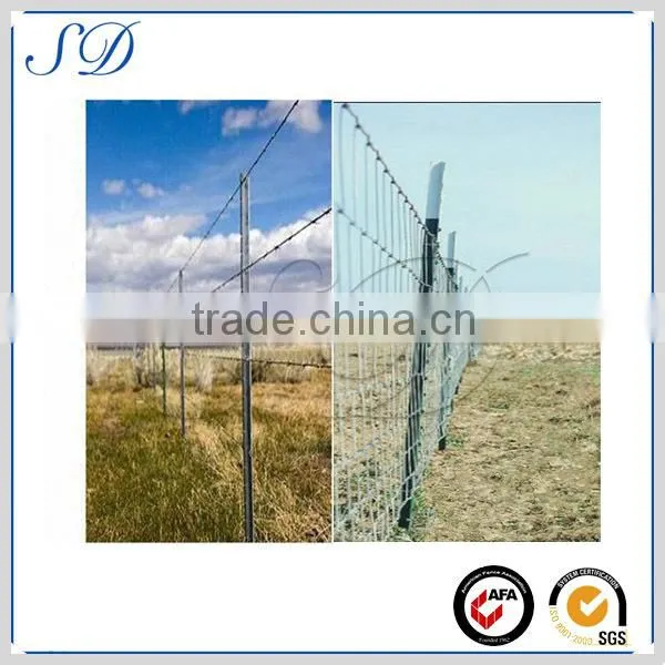 Steel t fence post