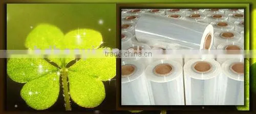 PVC Shrink Plastic Film(0.01mm--0.35mm)