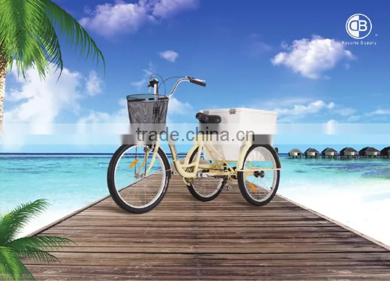 Three wheel Aluminium alloy tricycle cargo bike