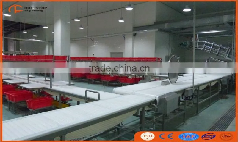 500 cattle slaughter line equipment with good layout design