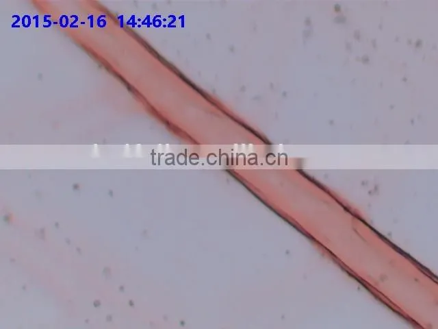 Cheapest Wholesale Microscope C-mount WIFI CMOS Camera fo Sale