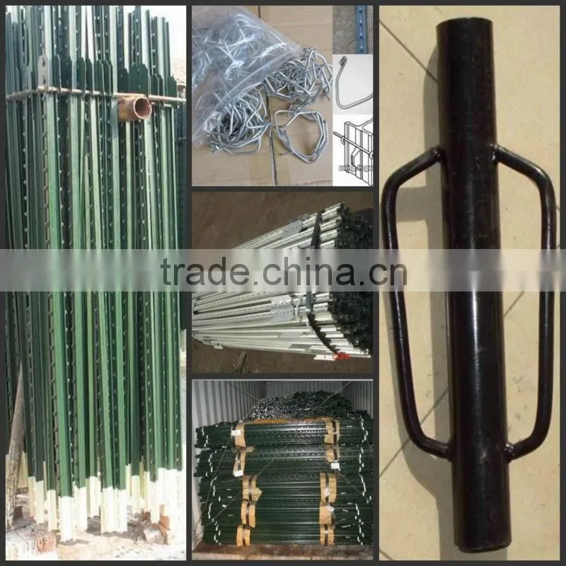Green painted iron T post