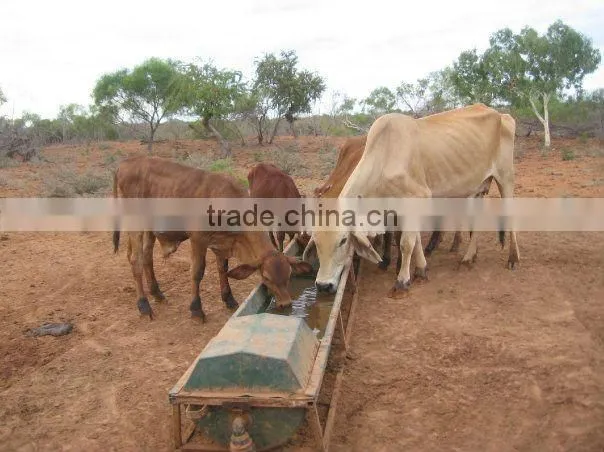 China factory supplier stainless steel used horse trough