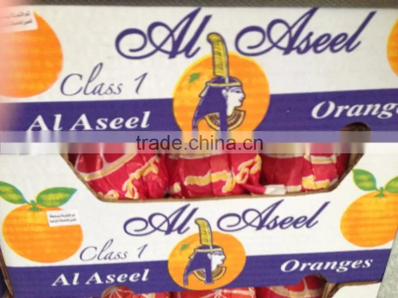 weight of Navel and Valencia Orange from Egypt in 18 kg cartons