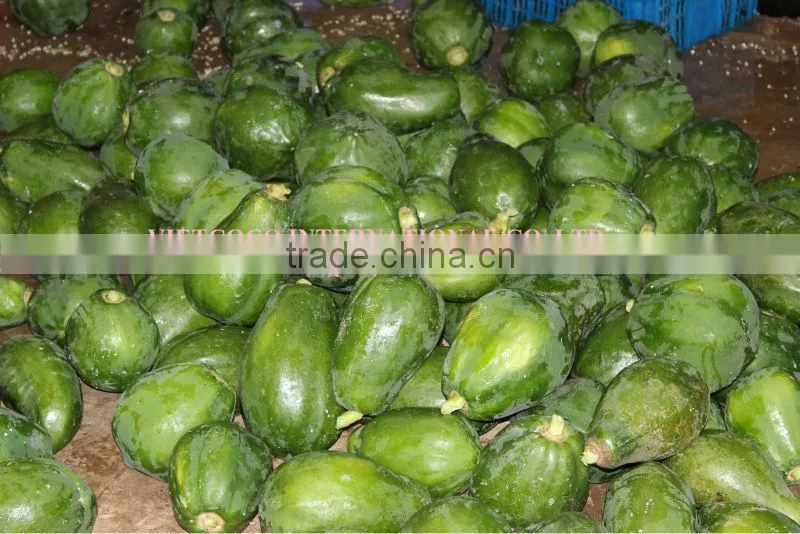 Dried Papaya Filament