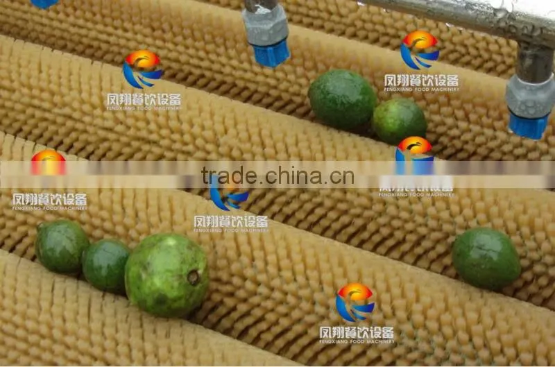 Spray Type Fruit/Melons/Vegetable Washing Machine with roller brushes