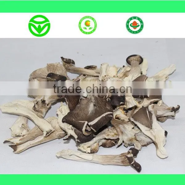 Grade A Dry Boletus Edulis Slice Dry Wild Mushroom