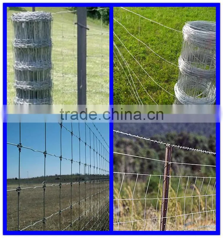 Anping Deming Factory Hot Sales Hot Dipped Galvanized Field Wire Mesh Fence