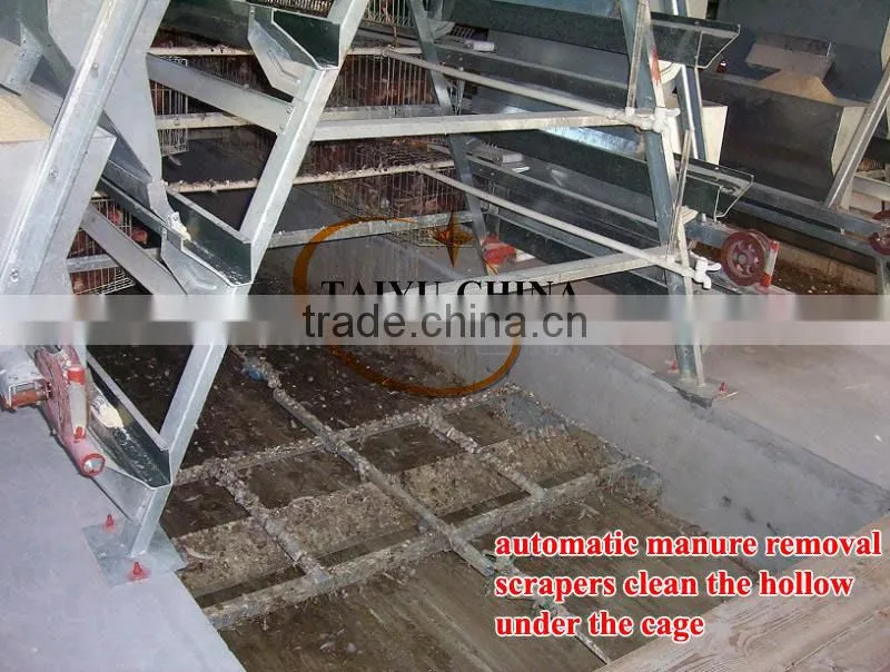 TAIYU save labor cost and easy clean poultry manure cleaning scraper