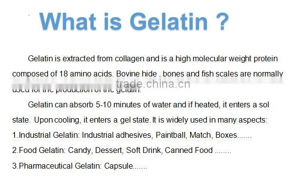 gelatin manufacturer in China 160-240 bloom gelatine pharmaceutical gelatine manufacturers