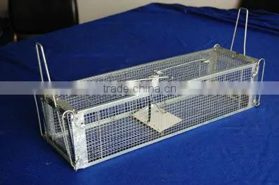 Live mouse trap