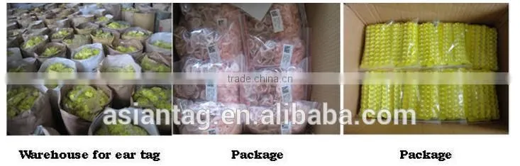RFID 134.2khz Animal ear tag