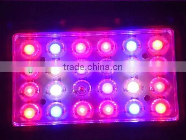 you can not miss the 800 W led lights for growing plants