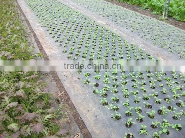 6' x 300' Woven Black Groundcover Fabric