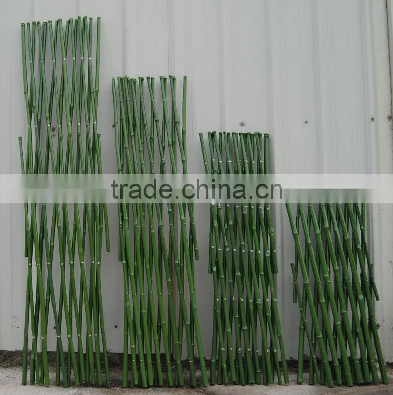 Hot rural style bamboo raw materials green garden chinese bamboo canes