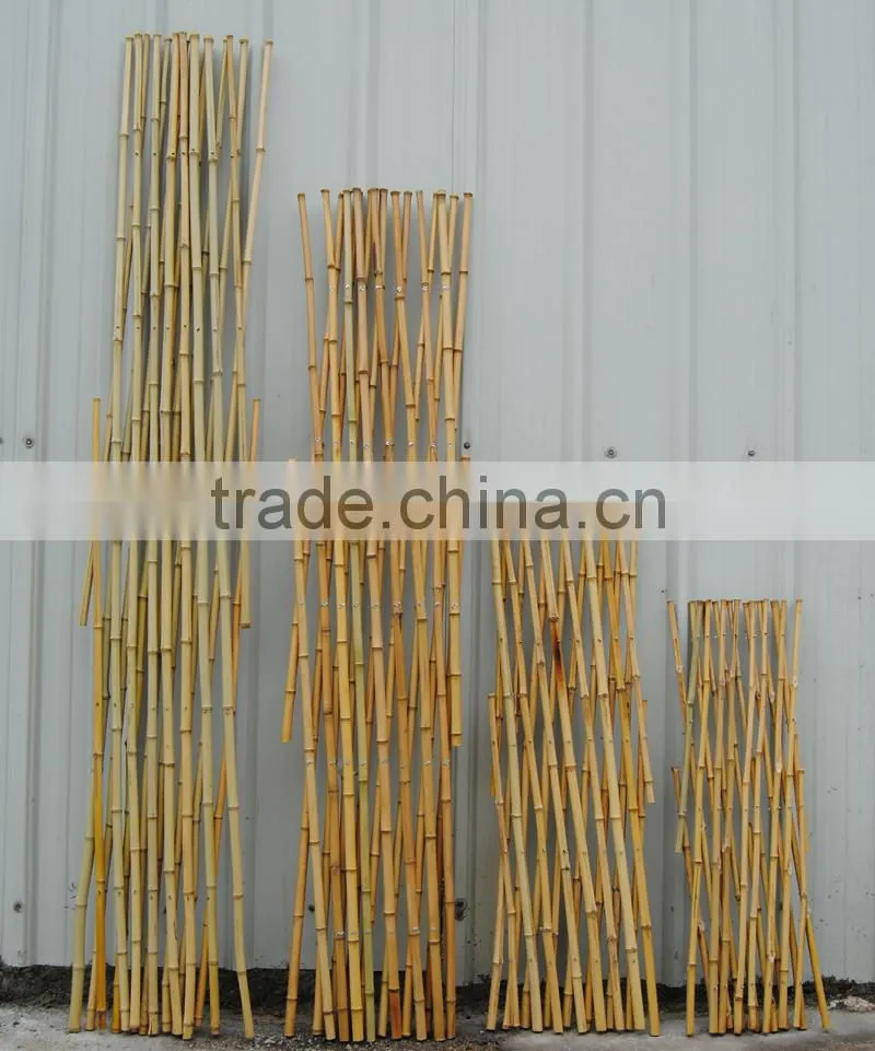 Hot rural style bamboo raw materials green garden chinese bamboo canes