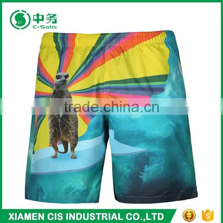 2017 High Quality Plus Size Mens Print Beach Shorts on Sale