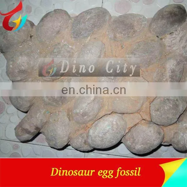 Exhibit Dinosaur Egg Model Dinosaur Egg Fossils