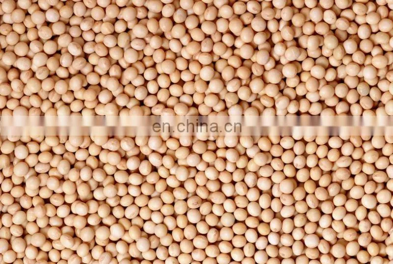 Corn seed cleaning machine hot sale, farm and grain shop widely used winnower machine