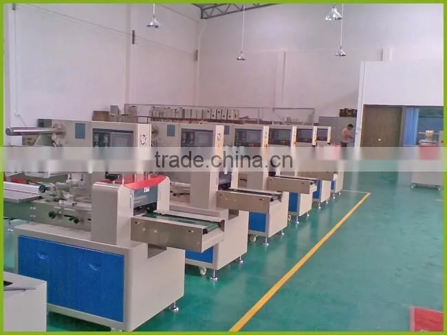 Multi functional Pillow type cookies packing machine / Pies packing machine
