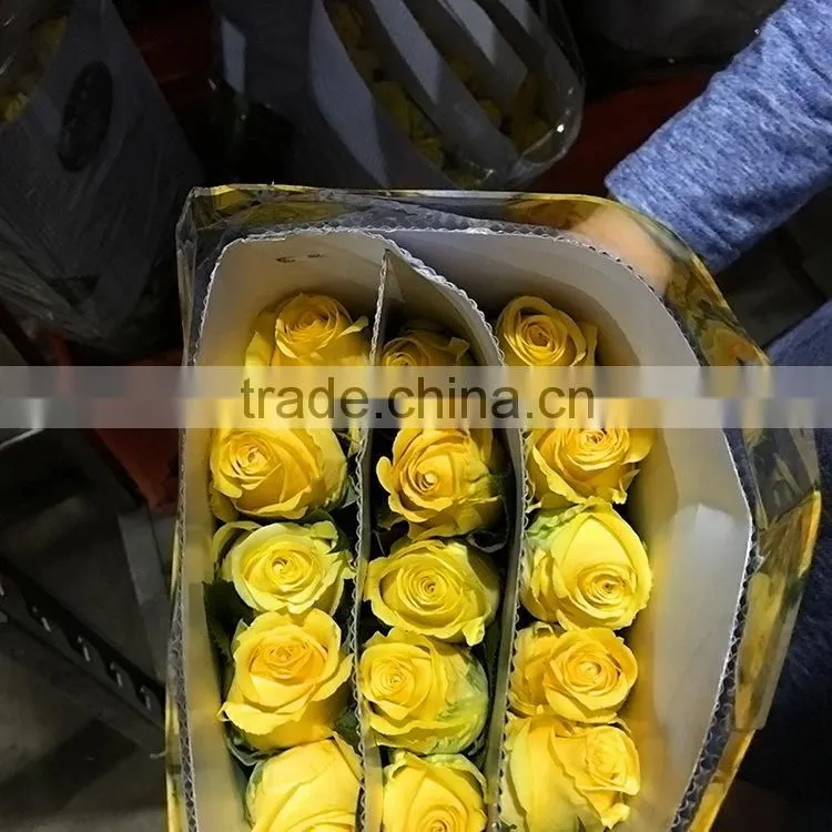Top quality most popular gold plated gift rose