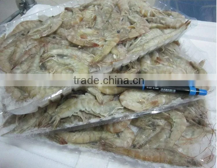 HL002 seafood frozen raw headless shrimp