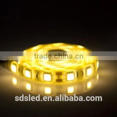 SDSLED LED Flexible Strip IP65 strip light 5050 60LED/m Warm White strip-White DC12V