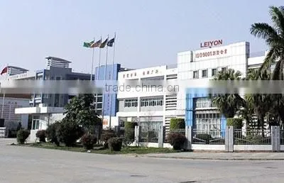 Guangdong Leiyon Intelligence Technology Corp company overview - view 3