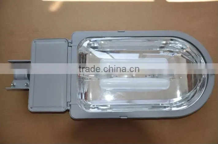 Panda Electrodeless Induction lamp street light