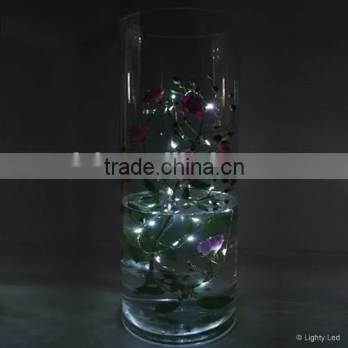 Submersible LED Colorful Strand Light / Submersible LED String Light