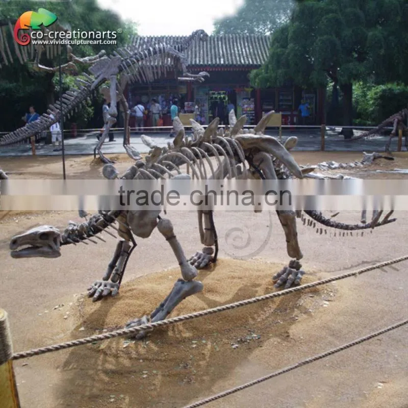 High quality dinosaur skeleton replica for museum