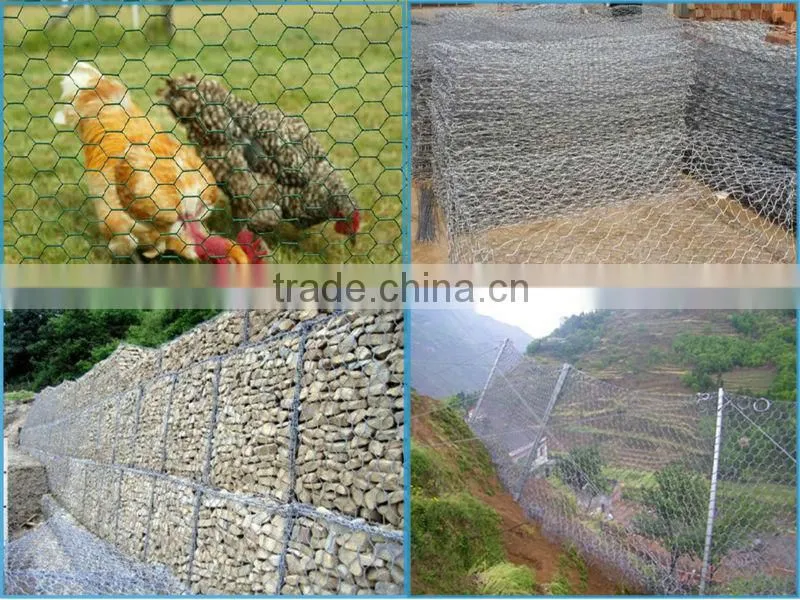 factory direct sale galvanized hexagonal weaving wire netting