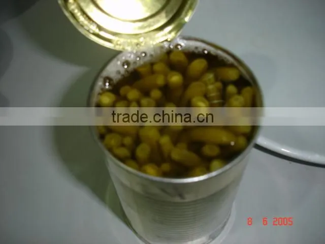 Natural canned broad beans